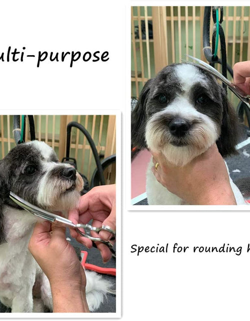 Load image into Gallery viewer, Curved Scissors for Dog Grooming,6.5 Inches,Safety round Tip Design. (Ball-Tip)
