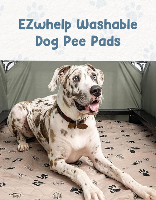 Load image into Gallery viewer, Reusable Dog Pee Pads for Dogs - Waterproof Potty Training Pee Pad - Washable Dog Training Pads W/ Rounded Corners Puppy Pad - Lightweight &amp; Laminated Whelping Pad Dog Mat Pet Supplies - 2 Pk
