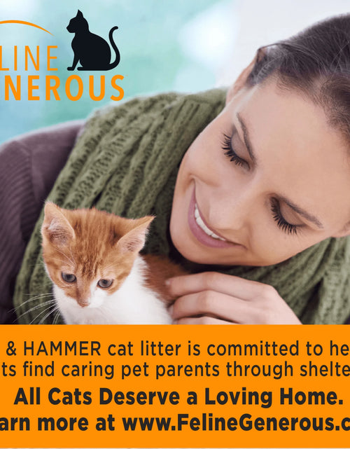 Load image into Gallery viewer, Clump &amp; Seal Cat Litter Multi-Cat Complete Odor Sealing Clay Clumping Cat Litter, 28 Lb
