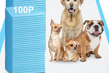 4XL 36"X36" Thicken Heavy Absorbent Dog Pads 100 Pack - Jumbo Disposable Wee Wee Pads Quick Dry Leakproof Pee Pads for Dogs, Cats, Rabbits Pets