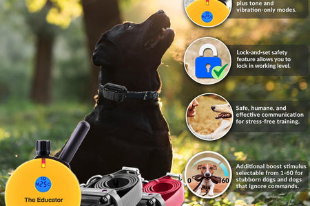 E-Collar Humane Dog Training Collar with Remote Features 100 Levels of Safe Stimulation, Tapping Sensation, Night Light, Waterproof, Rechargeable