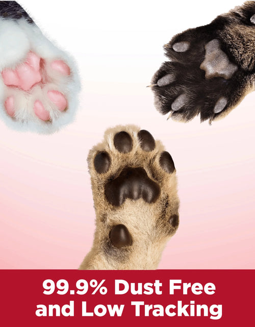 Load image into Gallery viewer, Clump &amp; Seal Cat Litter Multi-Cat Complete Odor Sealing Clay Clumping Cat Litter, 28 Lb
