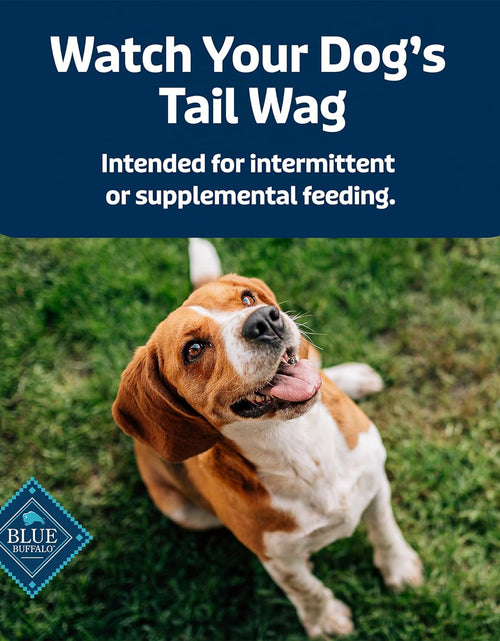 Load image into Gallery viewer, Stix Pepperoni-Style, Natural Soft-Moist Dog Treats
