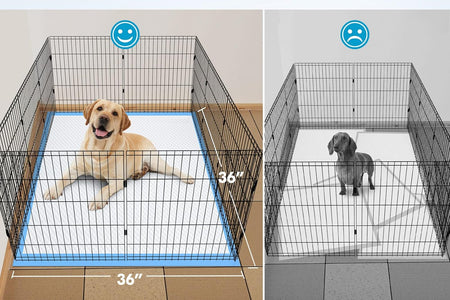 4XL 36"X36" Thicken Heavy Absorbent Dog Pads 100 Pack - Jumbo Disposable Wee Wee Pads Quick Dry Leakproof Pee Pads for Dogs, Cats, Rabbits Pets